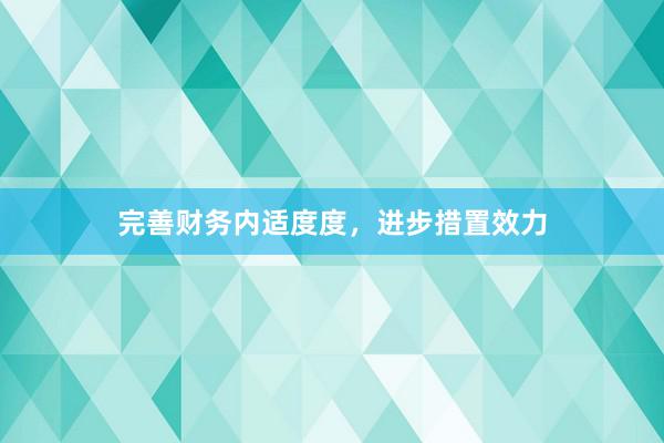 完善财务内适度度，进步措置效力